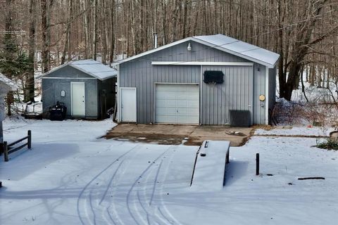 A home in Bear Lake Twp