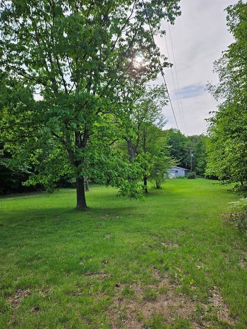 A home in Bear Lake Twp