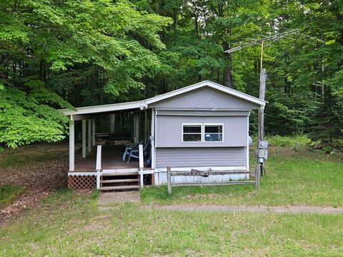 A home in Bear Lake Twp