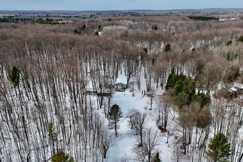 A home in Bear Lake Twp