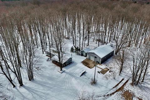 A home in Bear Lake Twp