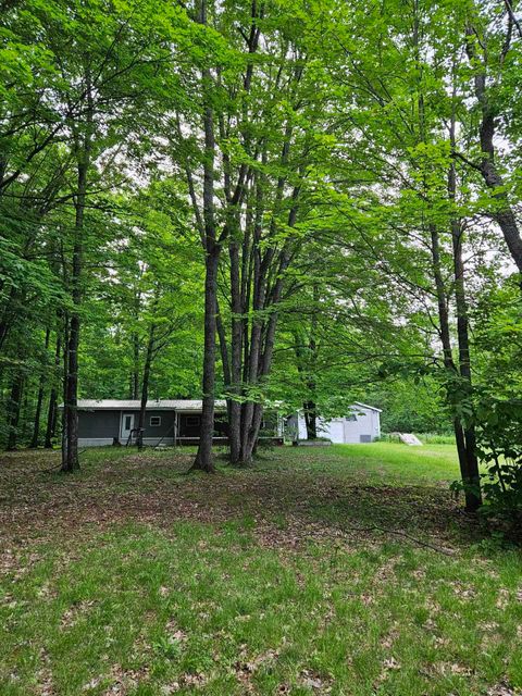 A home in Bear Lake Twp