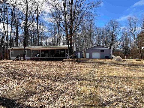 A home in Bear Lake Twp