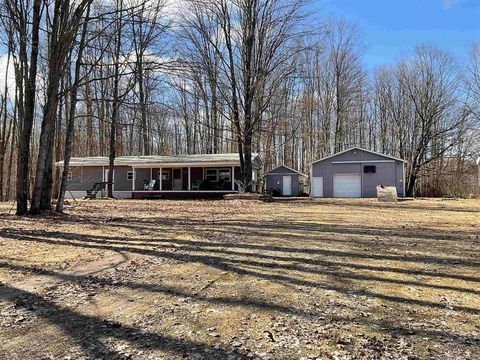 A home in Bear Lake Twp