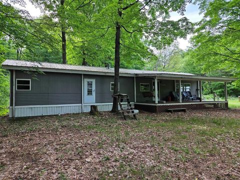 A home in Bear Lake Twp