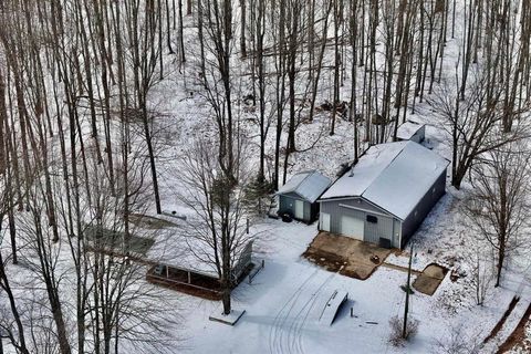 A home in Bear Lake Twp