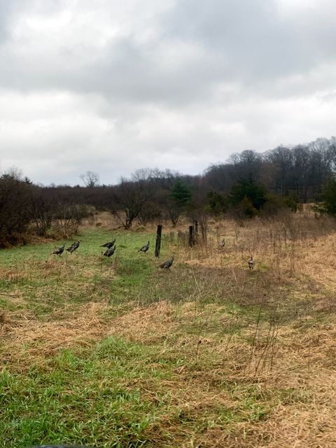 A home in Marion Twp