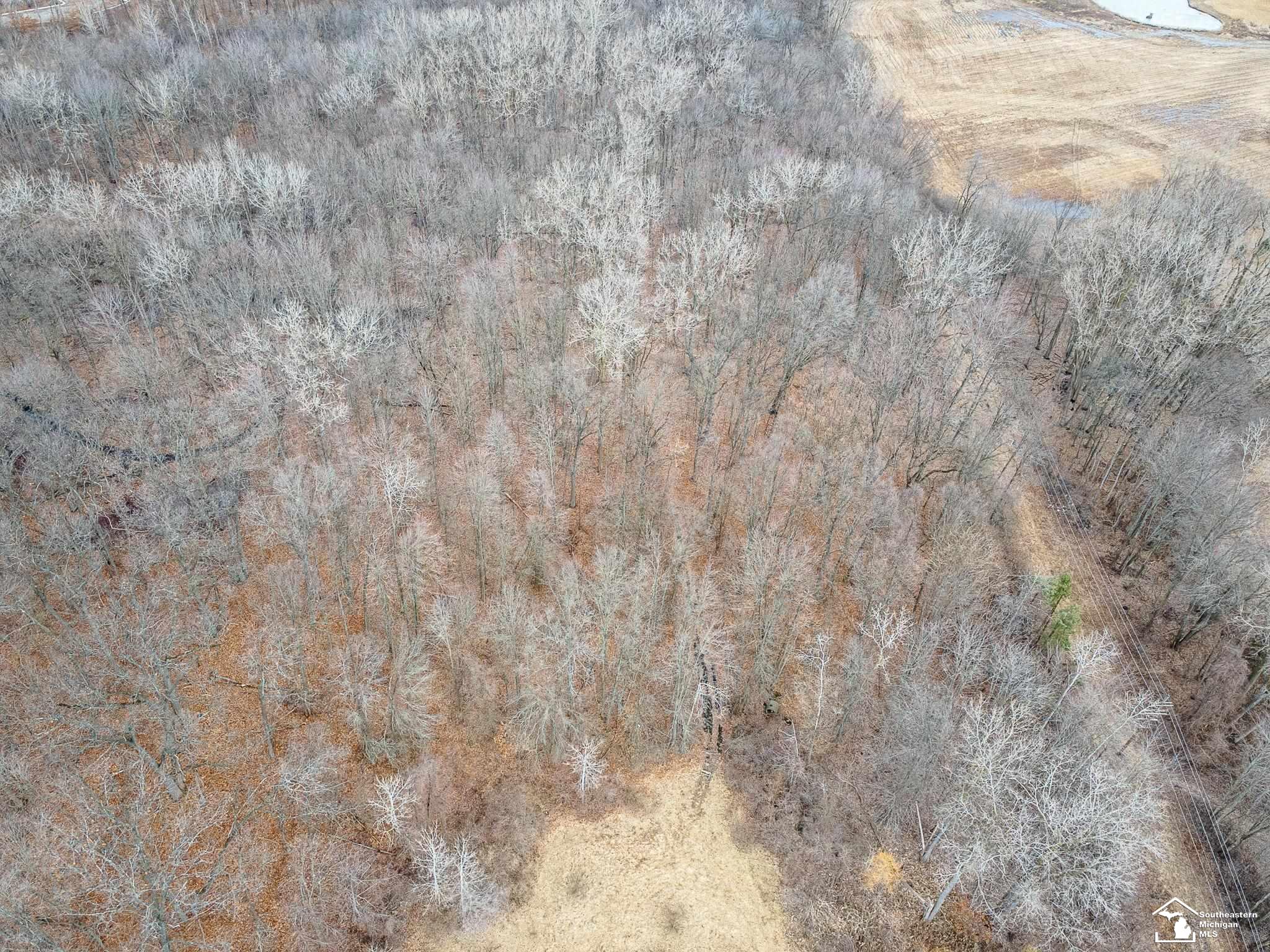 Frenchtown Township, Michigan 48162, United States, ,Land,Active,80873