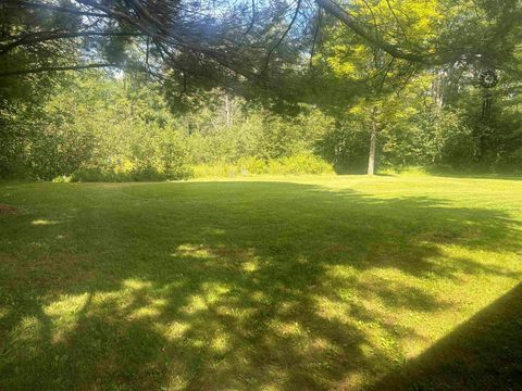 A home in Mikado Twp