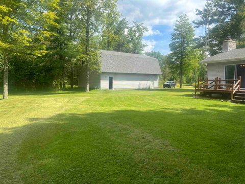 A home in Mikado Twp