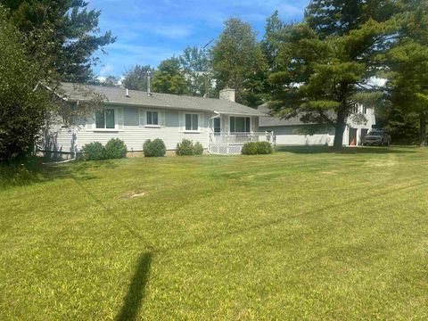 A home in Mikado Twp