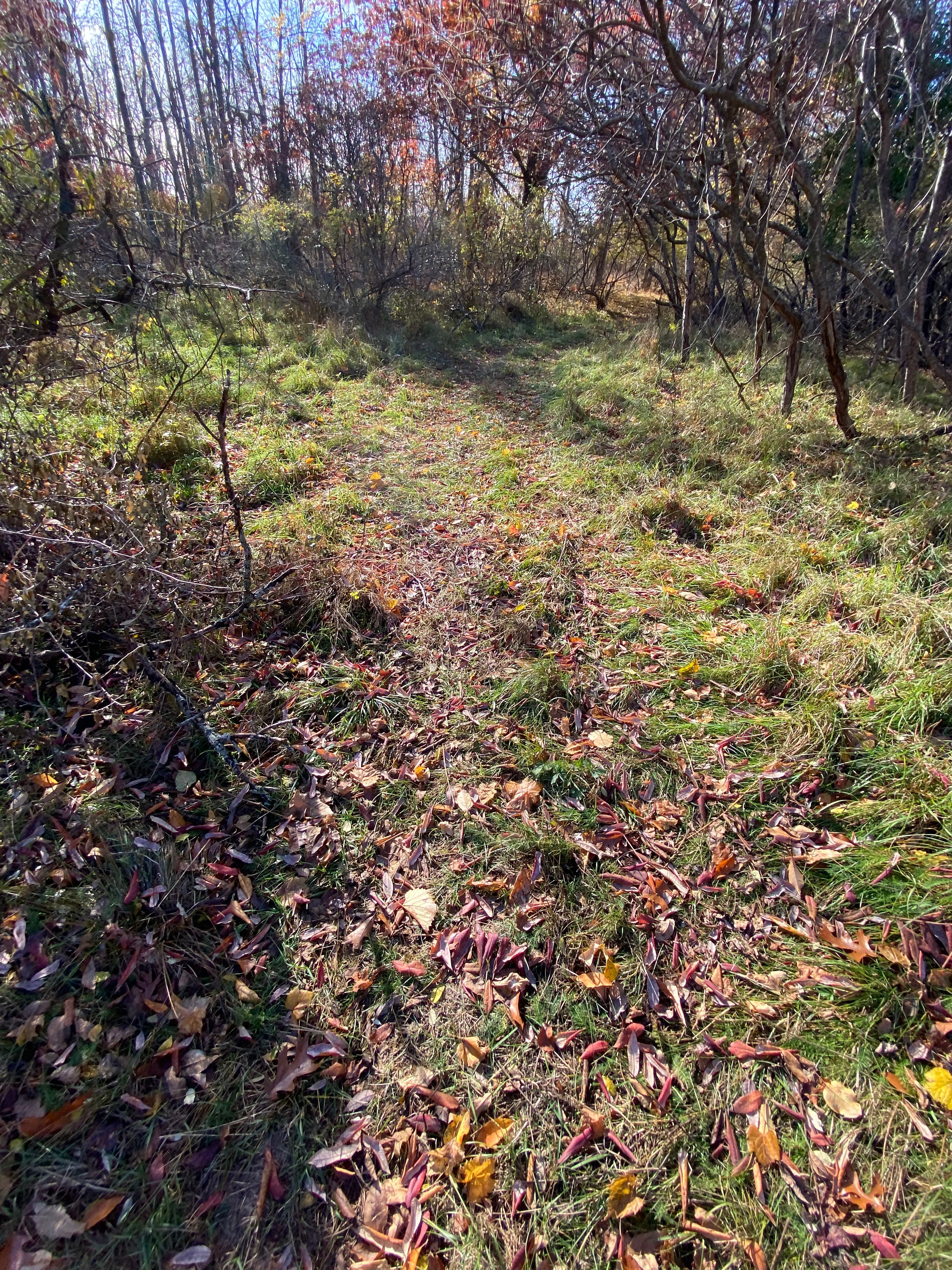 0000 E COGGINS Road