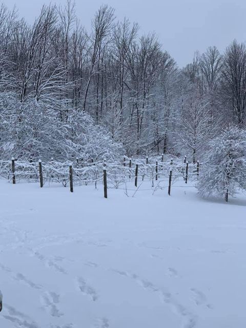 A home in Grant Twp-Newaygo