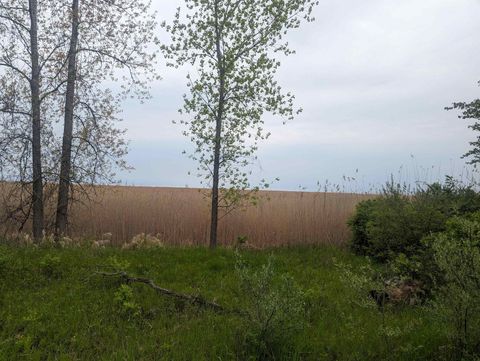 N/A Michigan Avenue Sims Township MI 48703