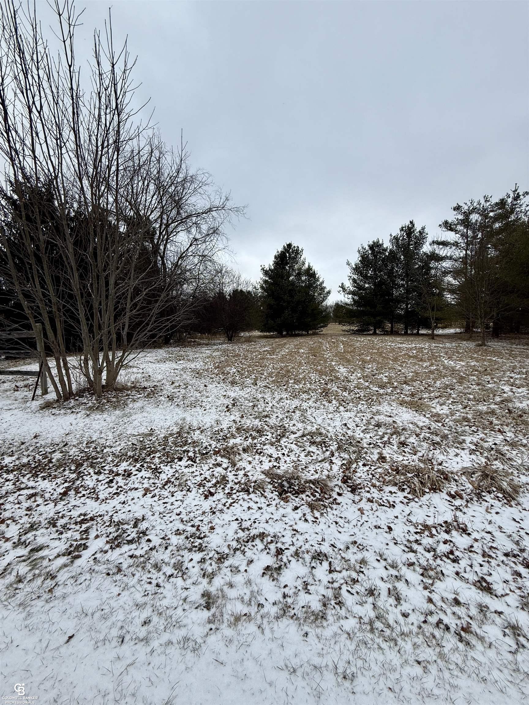 Listing image 8