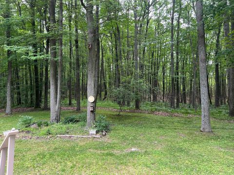 A home in Lincoln Twp