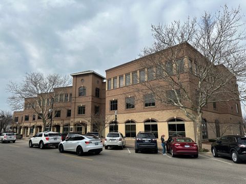 85 E 8th Street 250 Holland City MI 49423