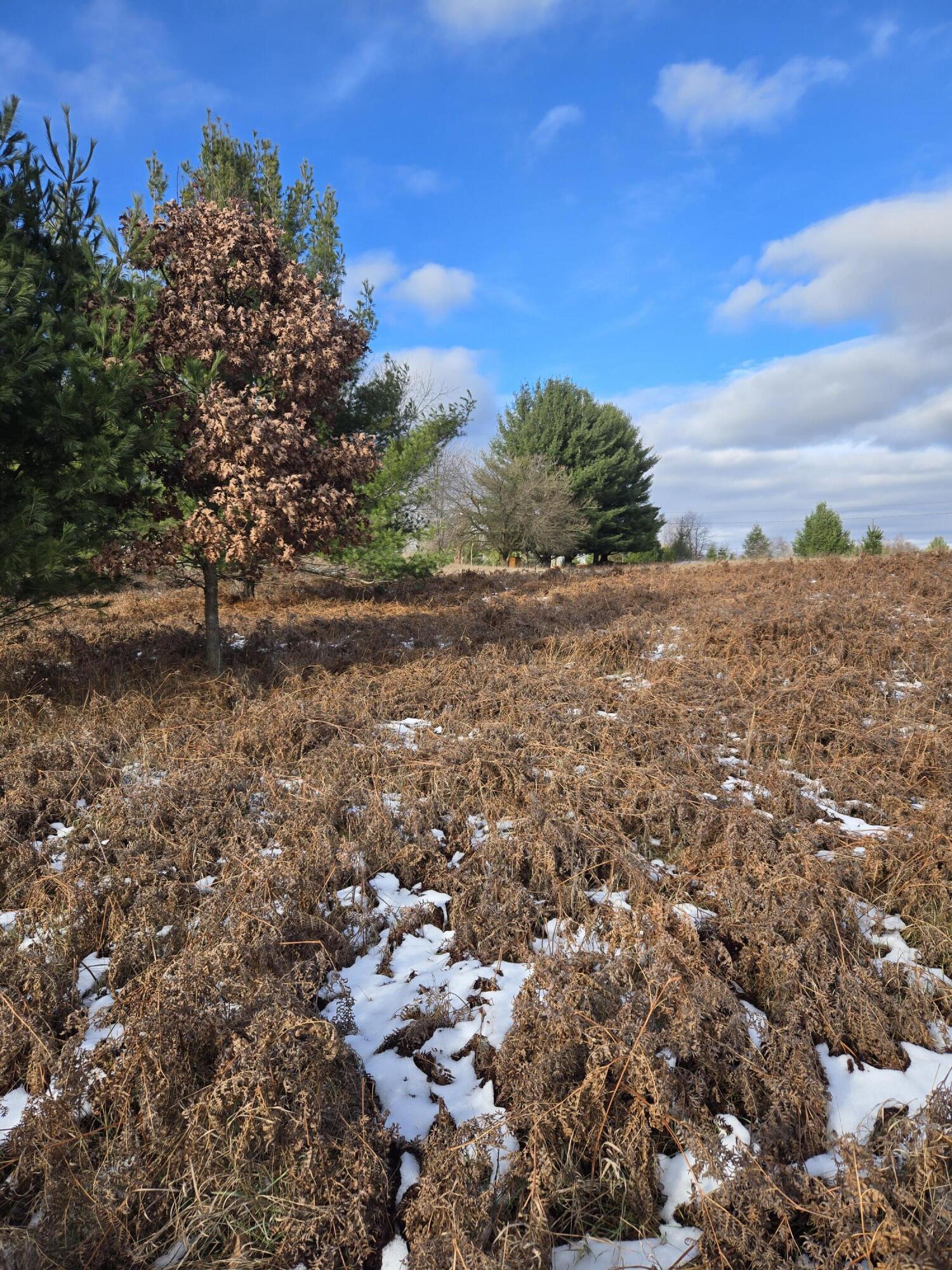 Lot 895 Lake Miramichi Drive
