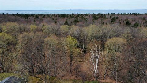 A home in Torch Lake Twp