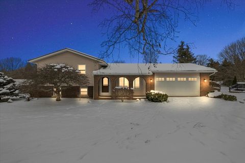 A home in Metamora Twp