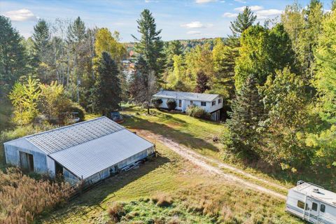 A home in Evart Twp