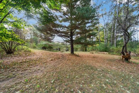 A home in Evart Twp