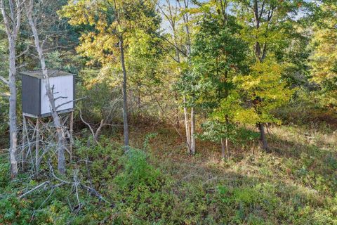 A home in Evart Twp