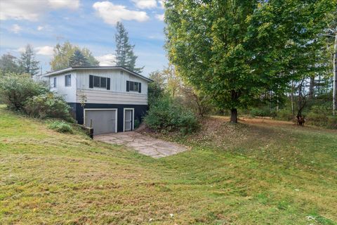 A home in Evart Twp