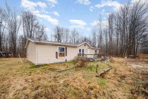 A home in Chippewa Twp