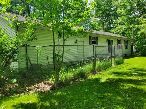 A home in Sheridan Twp - Mecosta