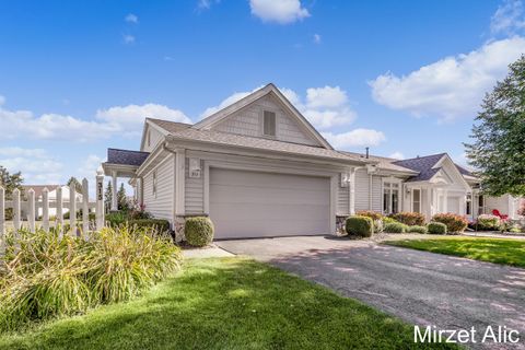 A home in Gaines Twp