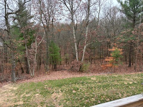 A home in Newaygo