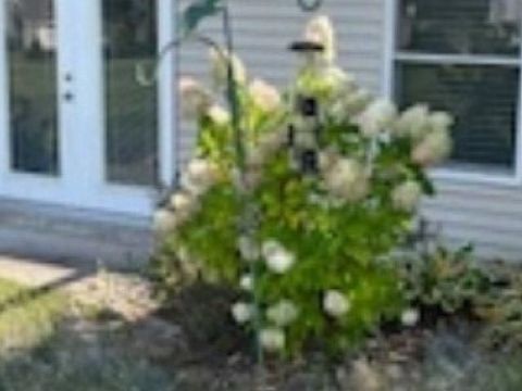 A home in Long Lake Twp