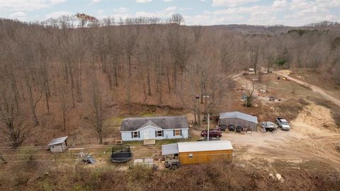 A home in Colfax Twp