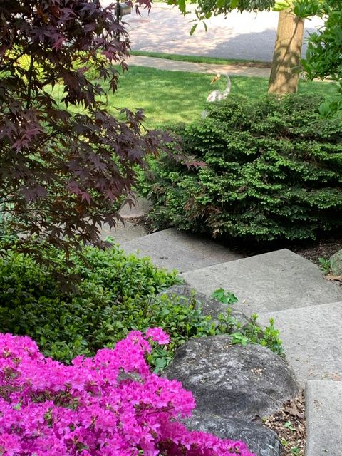 A home in Pittsfield Twp