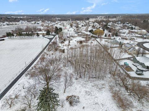 A home in Royalton Twp