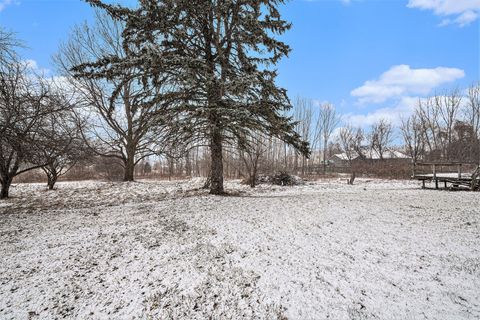 A home in Royalton Twp