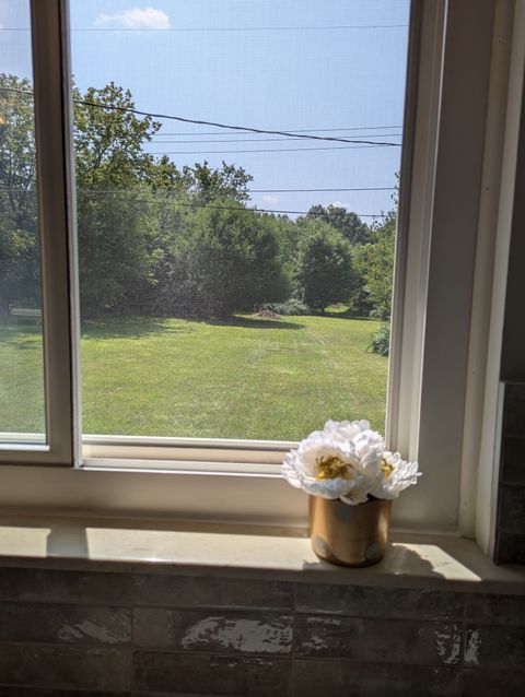 A home in Metamora Twp