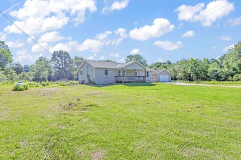 A home in Grass Lake Twp