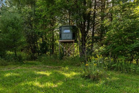 A home in Pinora Twp