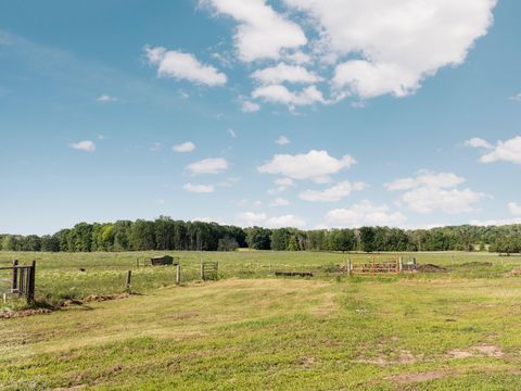 A home in Pinora Twp