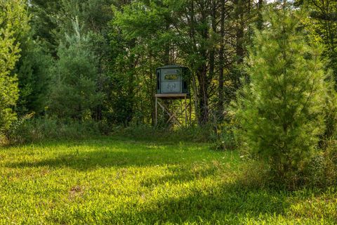 A home in Pinora Twp