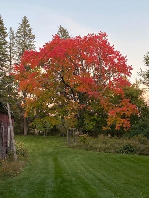 A home in Clam Lake Twp