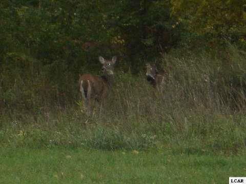 1003 SAW MILL Court Adrian City MI 49221