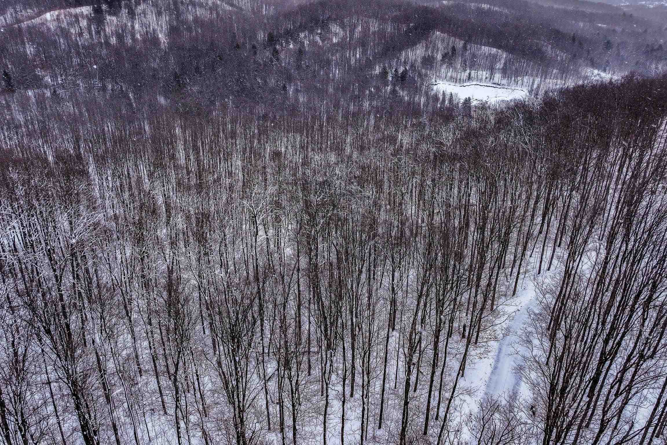 Lot 7 Connemara Drive