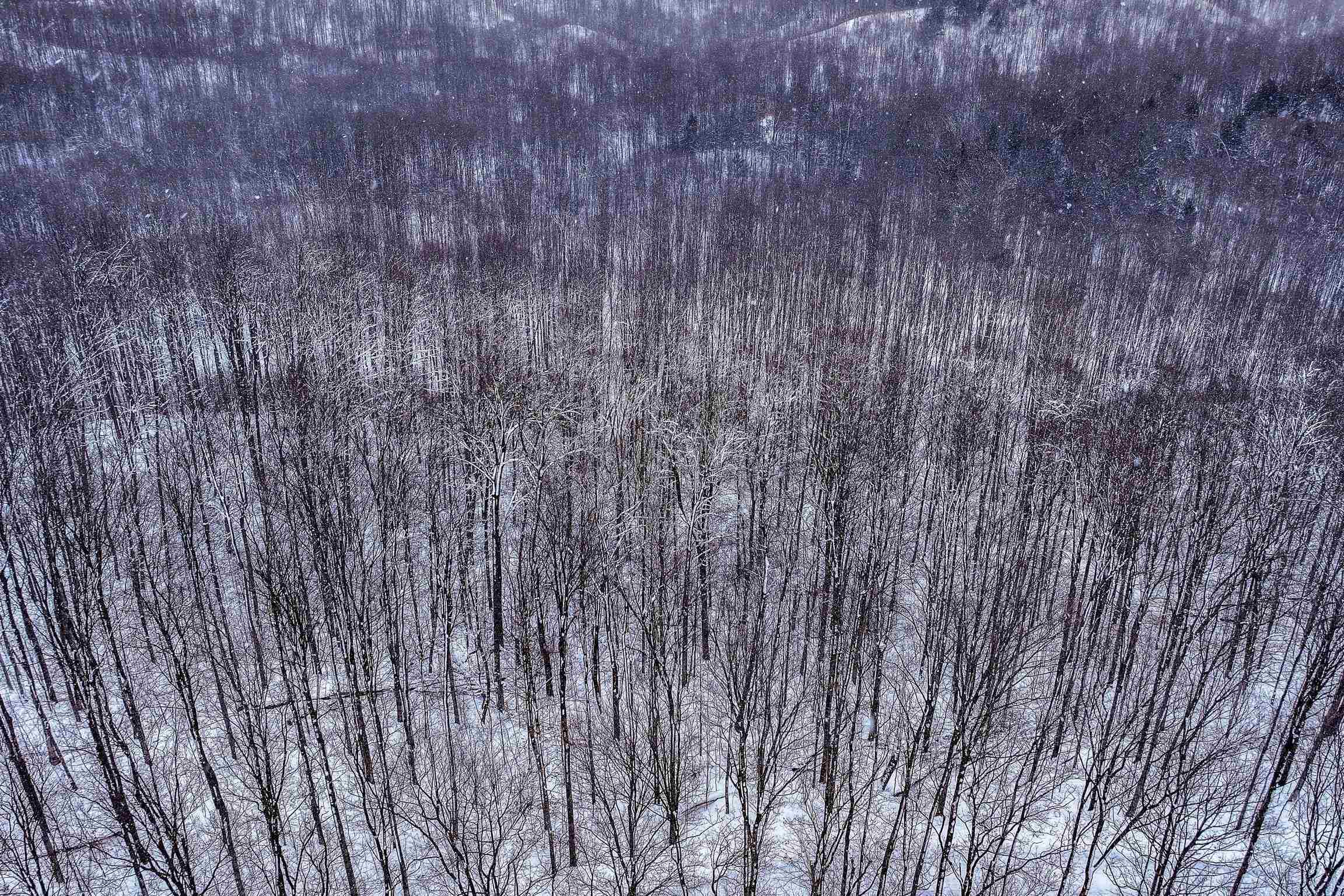 Lot 7 Connemara Drive