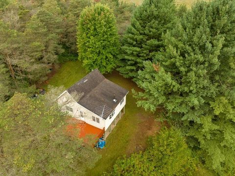 A home in Sherman Twp