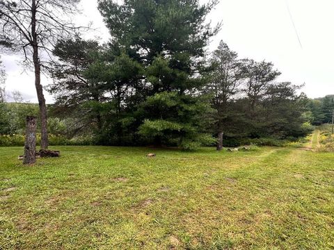 A home in Sherman Twp