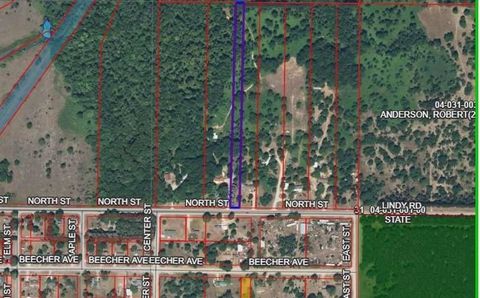 00 N North Street Colfax Township MI 49683