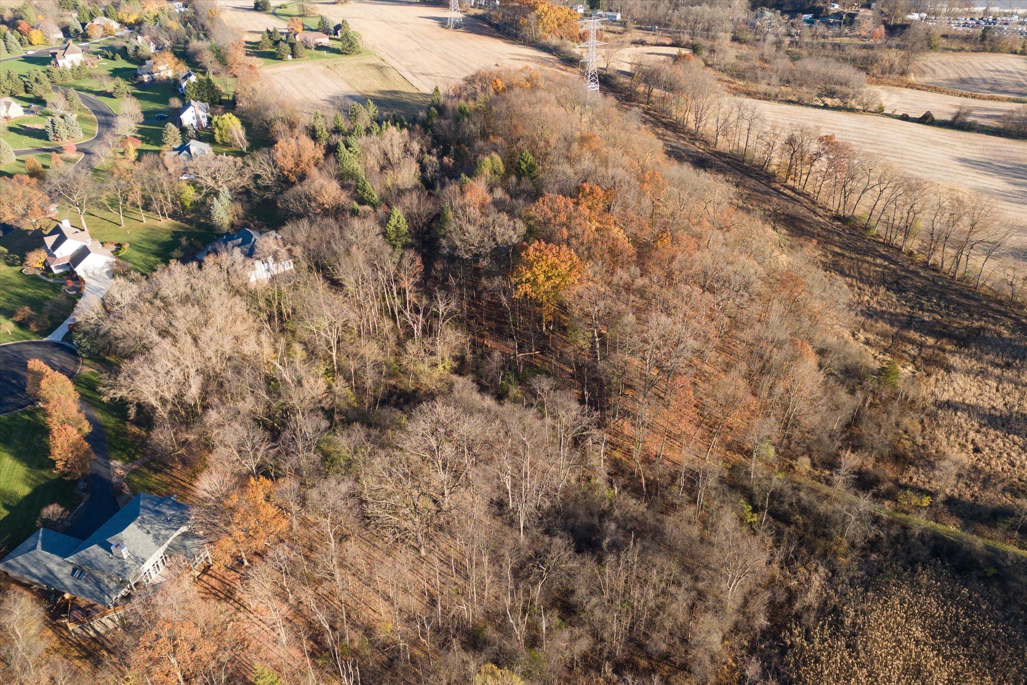 7737 BRASS CREEK